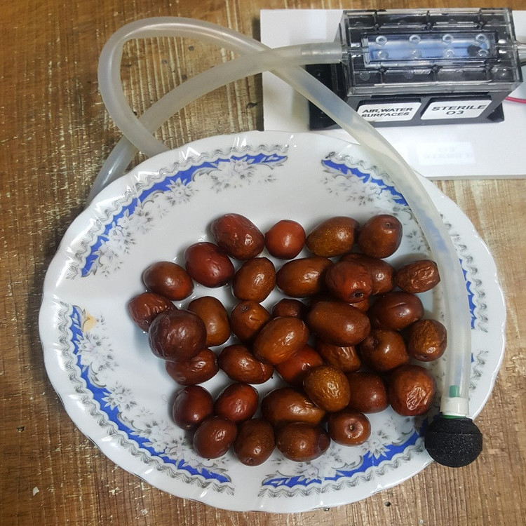 ژنراتور اوزون مدل 300mg