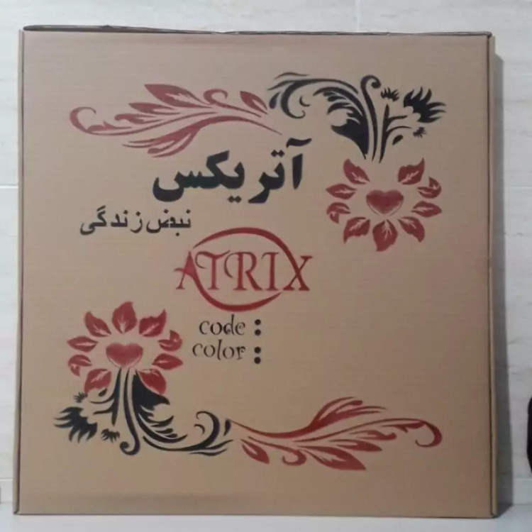 ساعت دیواری آتریکس مدل فانتزی B117