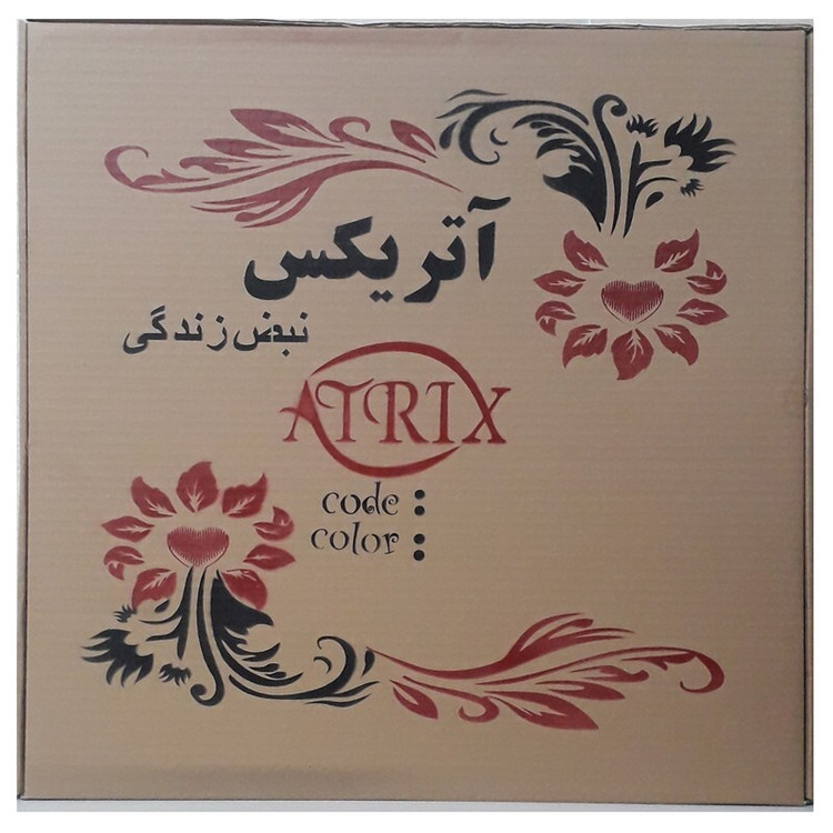 ساعت دیواری آتریکس مدل M17