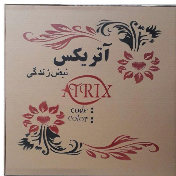 ساعت دیواری آتریکس مدل S0036