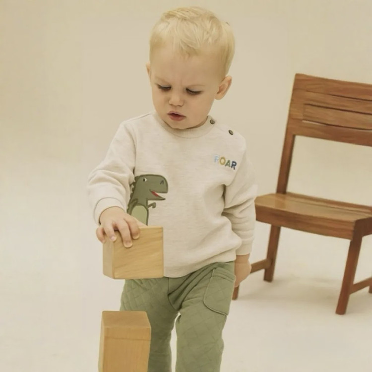 ست دورس و شلوار نوزادی پسرانه وارداتی طرح دایناسور توکرکی سایزبندی 0 تا 30 ماه