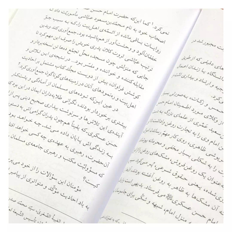 کتاب امام مهدی علیه السلام امید ملتها - چاپ 8